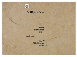 Romulus_Writeup2